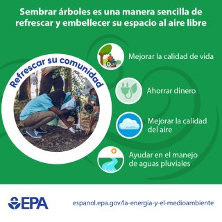 Spanish Tree Planting Graphic