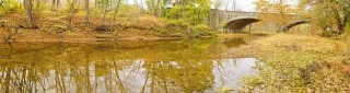 Bridge over wetland