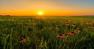 prairie at sunset