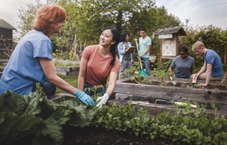 A community gardens together