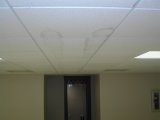 water damaged ceiling tiles