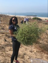 PEYA winner leading a habitat restoration project