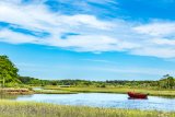 marsh with red boat