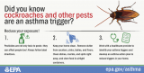 image of an asthma trigger - pests