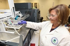 EPA scientist, Dr. Jody Shoemaker, conducting research at EPA's research center in Cincinnati, Ohio