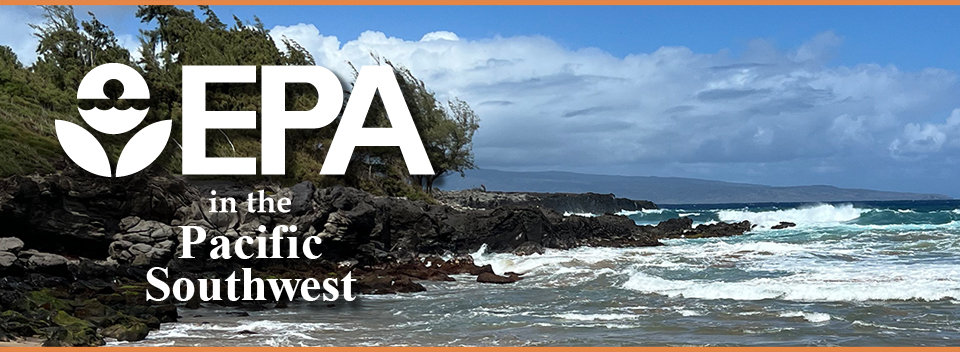 Photo of a sandy beach transitioning to a rocky shore on Maui. Crashing waves can be seen on the right and wind-swept trees atop a rocky shore on the left. The island of Moloka’i is visible in the distance on the horizon.