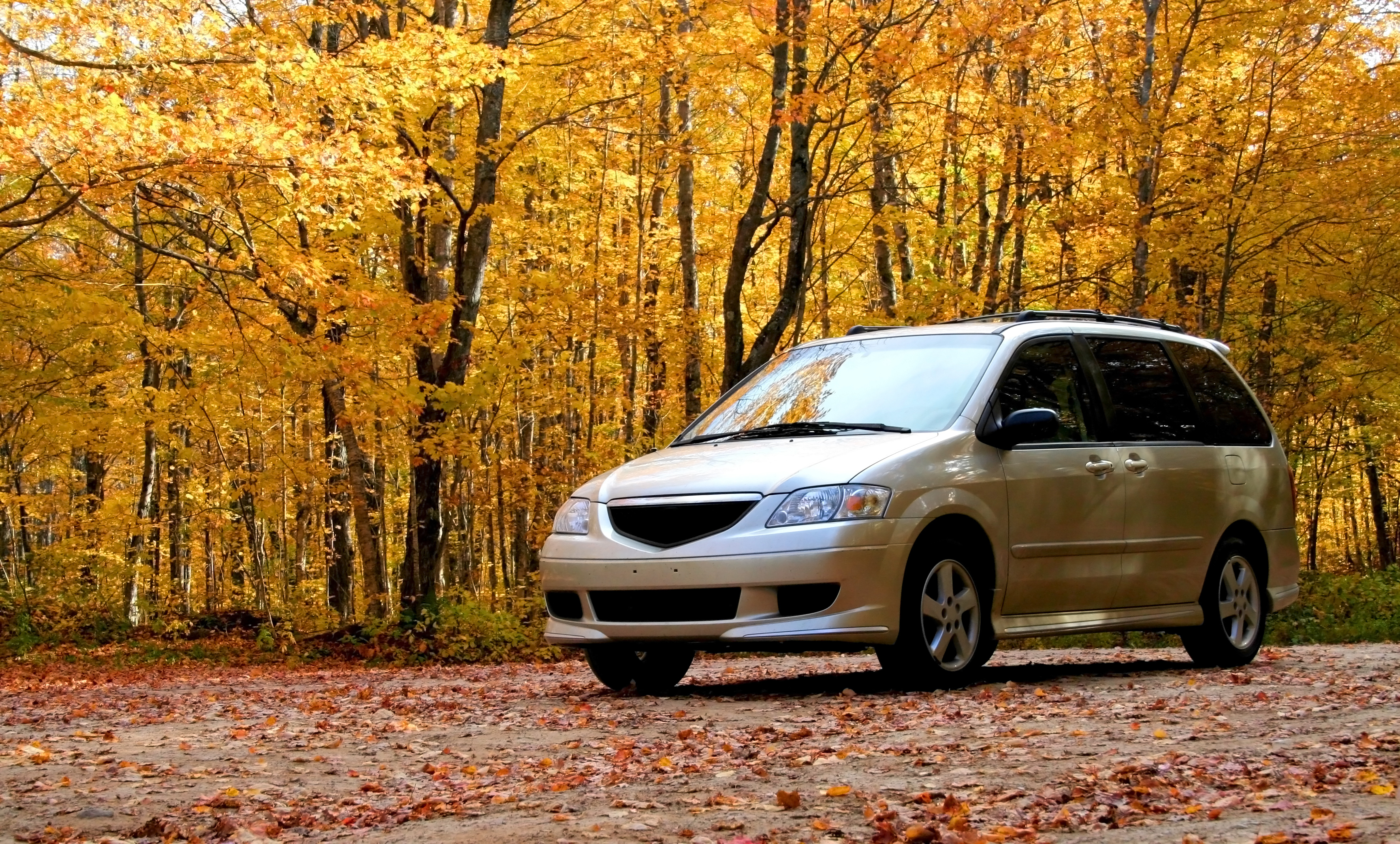 Minivan in a forest