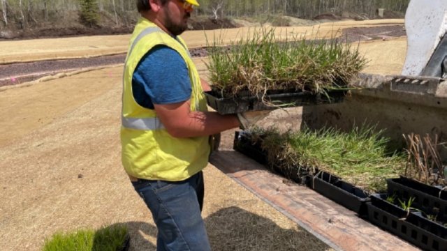 Worker planting in the upstream Unnamed Creek and adjacent floodplain area