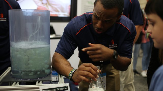 Two Auburn students looking intensely at their Moving-Bed Bioreactor