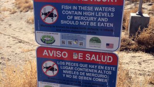 Health Advisory sight that informs that fish in these water contain high levels of mercury and should not be eaten (English an Spanish)