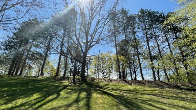 Tree filled city park in East Palestine