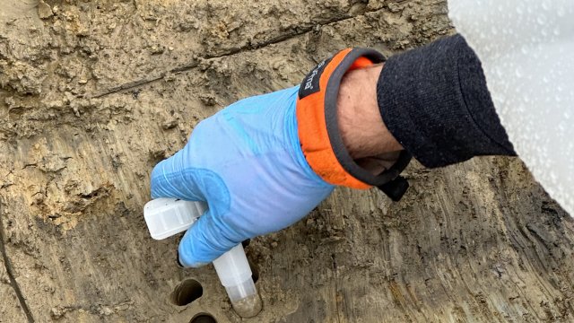 hand reaching down to collect soil samples