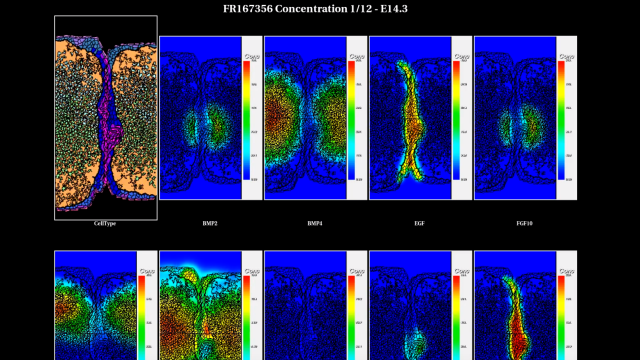 Virtual Tissue Model Laboratory System Simulation