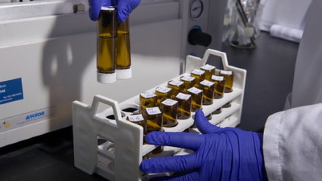 A person handling chemicals in a lab