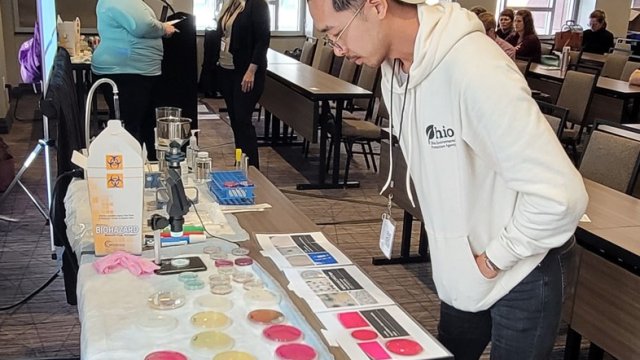 Image of a person bending over looking at agar plates on a table.