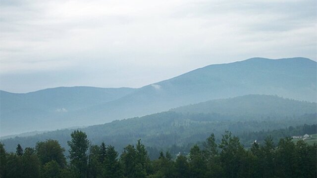 View of trees and mountains in the background