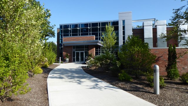 A paved walkway leading to a building, with trees and bushes on either side.