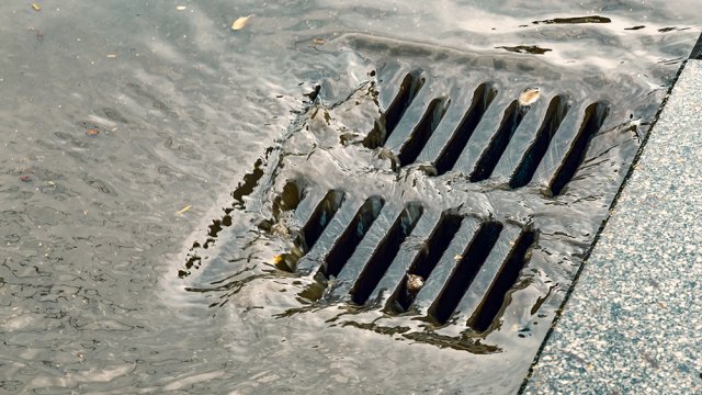 Sewer Grate