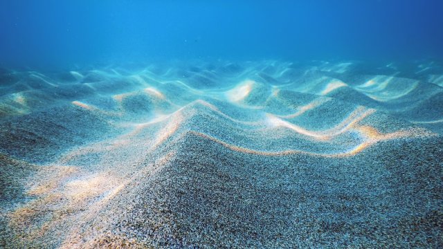 sand on the seafloor