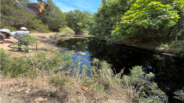 Skull Creek 7 days after oil spill.