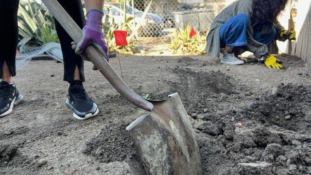 Soil practitioners at work preparing bioremediation sites for OCEJ’s soil bioremediation project.