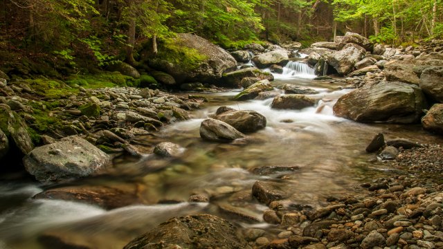 A healthy Vermont streambed is shown with green leaves on the trees lining the stream.