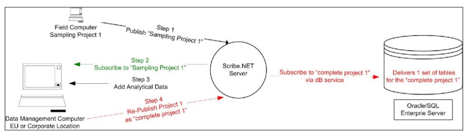 Scribe Layout Picture