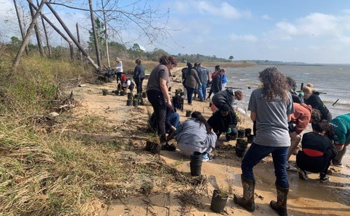 Students planting