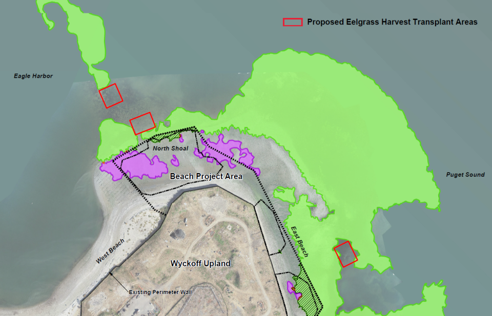 Aerial map showing boundaries of proposed eelgrass transplant areas.