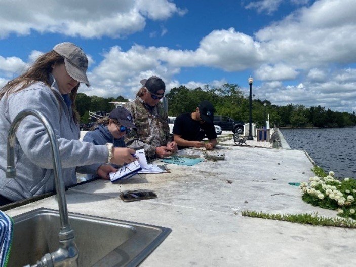 Della Campbell (NYSDEC), Nina Colagiovianni (NJDEP), and other NJDEP staff assess eelgrass reproductive shoots for seed maturity and density.