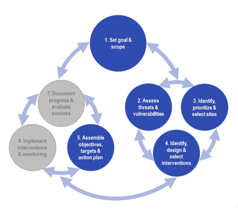 The seven steps of the Organon with steps one through five highlighted