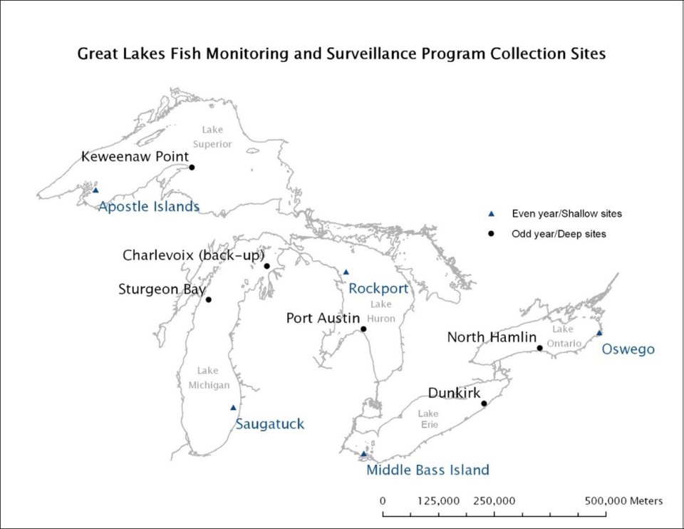 Great Lakes Fish Monitoring and Surveillance Program collection sites. This map opens to an image.