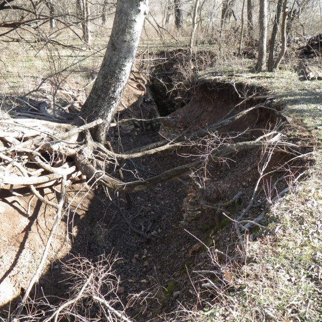 A sinkhole that is part of the aquifer study area. It fills up when there is a big rainfall event and then slowly drains out. Researchers are studying where the water goes. 