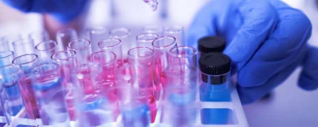 Gloved hand of a researcher and test tubes in a rack