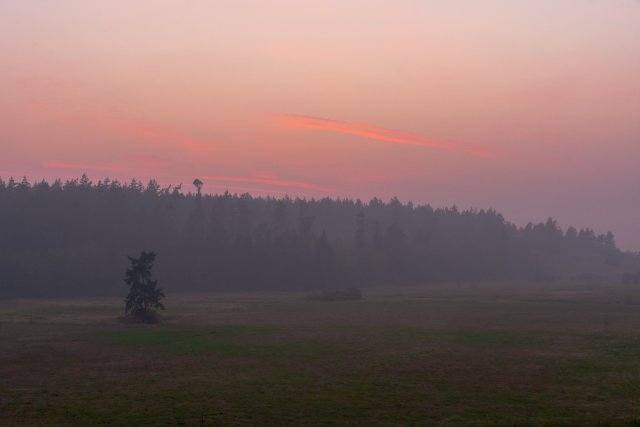 Smoke from Oregon wildfires creates unhealthy air quality in Washington. 