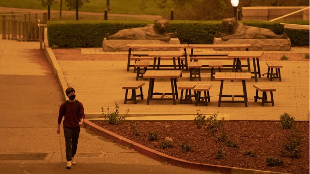 Person walking on path during smoky day