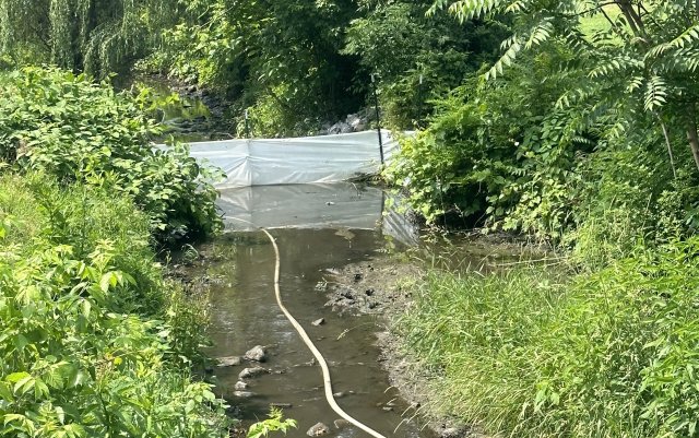 Plastic curtains are placed downstream in Sulphur Run