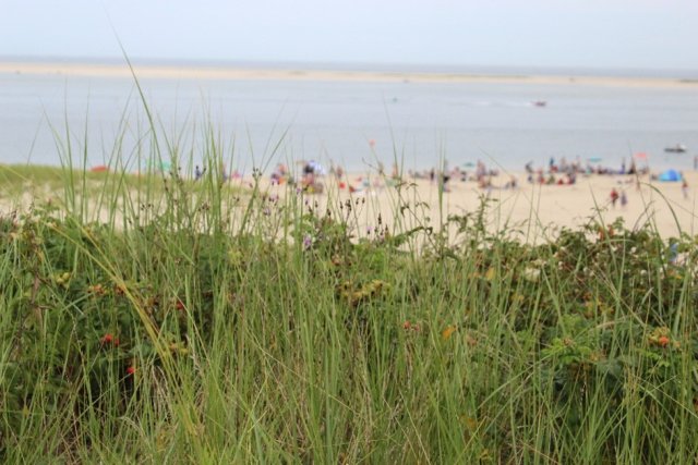 beach in Chatham, Massachusetts.