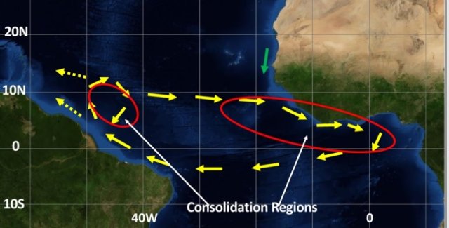 Sargassum map