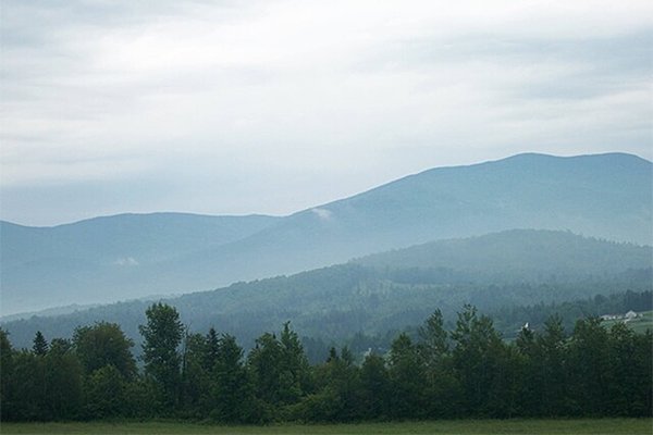 View of trees and mountains in the background