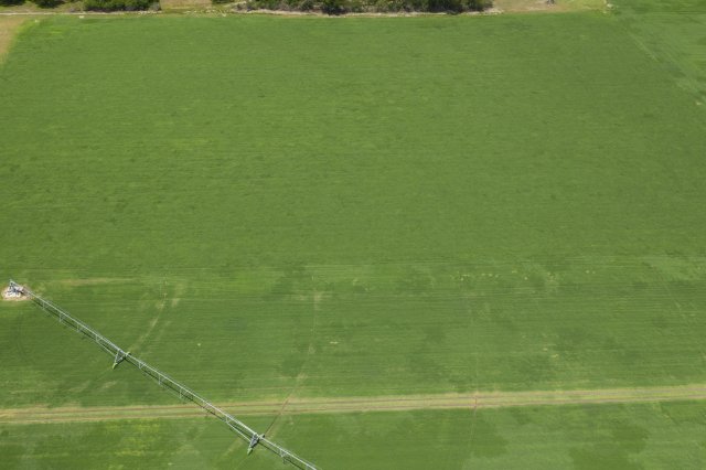 Figure 15. Subsurface drip irrigation 