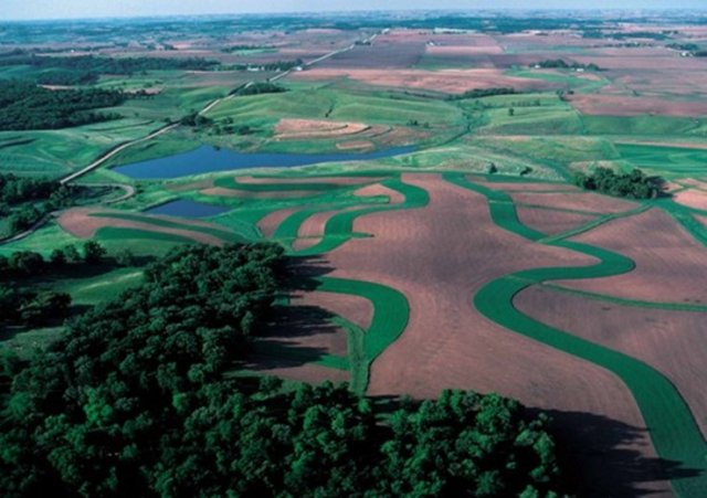 Figure 8. In-field contour buffer strips