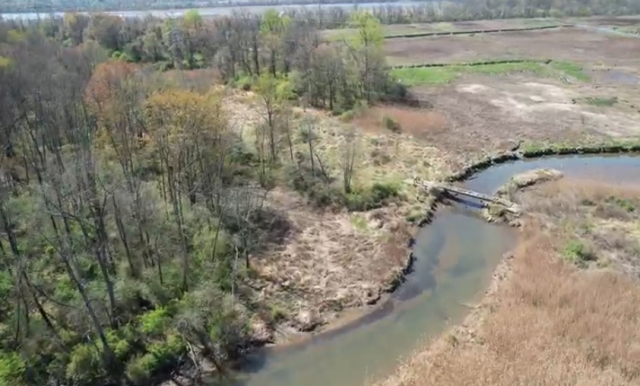 Koppers Superfund Site