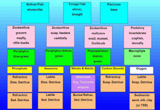 An Example of AQUATOX State Variables for a Stream