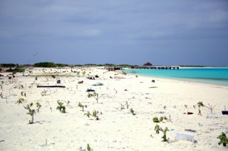 trash on a beach