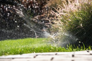 Sprinkler watering yard.