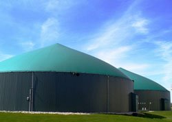 Anaerobic Digestion