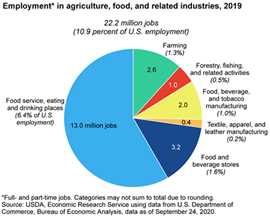 Pie chart