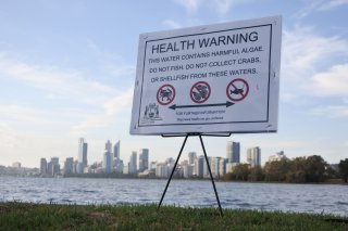 PERTH, WA - DEC 25 2019: Health Warning sign that water contains harmful algae in Swan River in Perth.