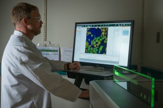 a scientist looking at an image of High-Throughput cell painting on a computer. 